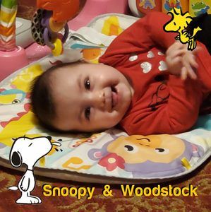 Meet your Posher, Wayne